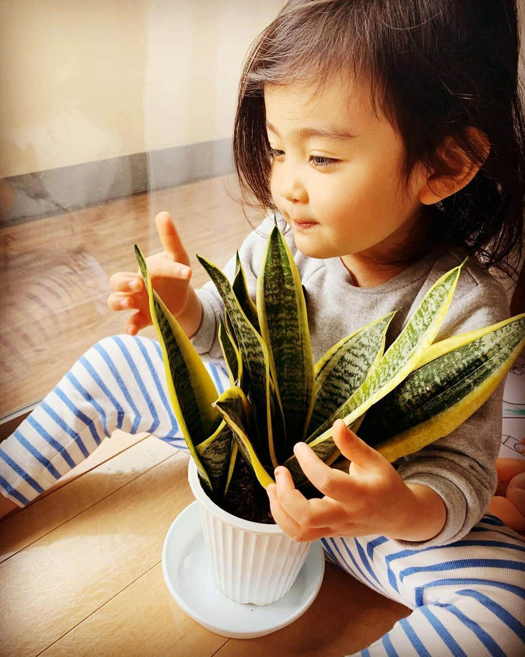 芹澤明日香のインスタグラム