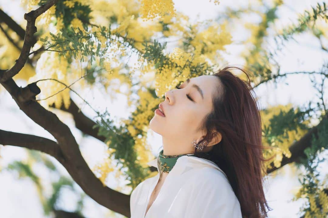 貴愛kwiae Officialのインスタグラム：「もう1回春ください。 2020の思い出が家になりませんように🙃🙃🙃 * 夜はカバーコラボ動画上げます🧚‍♀️🧚‍♀️🧚‍♀️ * * きょうも天気良いなぁ。 昨日は2000歩だったので、今日はちゃんと歩こう。笑 * * * もうすぐ5月だなぁ。 photo by @joylous_tokyo #spring #2020 #mimosa  #アカシア #ミモザ #like #photooftheday  #pic #photi #photograph #sony  #sonya7iii #yellow  #look #晴れ #代々木公園 #春 #実は3月初めで寒かった」