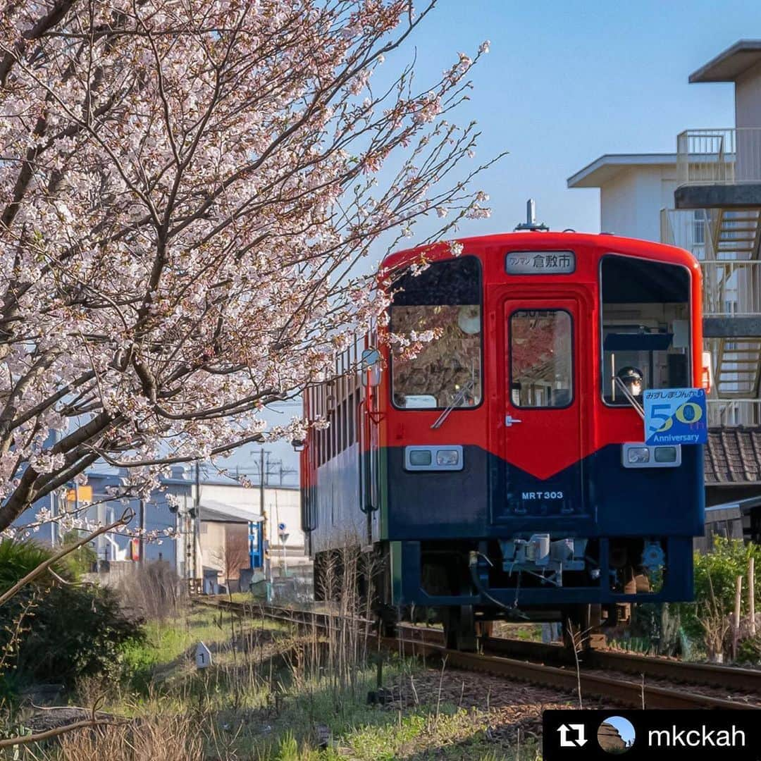 倉敷市さんのインスタグラム写真 - (倉敷市Instagram)「#クラシキブンカ に投稿された作品からいいなと思う作品をリポストさせてもらっています。  @mkckah さんの作品です。 よろしくお願いします。  #Repost @mkckah with @get_repost ・・・ 4月5日。水島臨海鉄道50周年記念色MRT303号。飛躍への情熱を表現した「赤」と安全の象徴とした「青」をコンセプトにしているそうです。 ＊ 浦田駅の南。桜咲く踏み切り。水島の春の風景。地元、ご近所にもいいところがありました。 ＊ #setouchigram96#クラシキブンカ#total_rail #水島臨海鉄道 #mrt303 #桜#サクラ#鉄道のある風景 #鉄道写真 #鉄道」4月23日 23時24分 - kurashiki_city