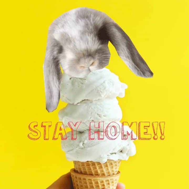 はねゆりのインスタグラム：「作ってみた🐰」
