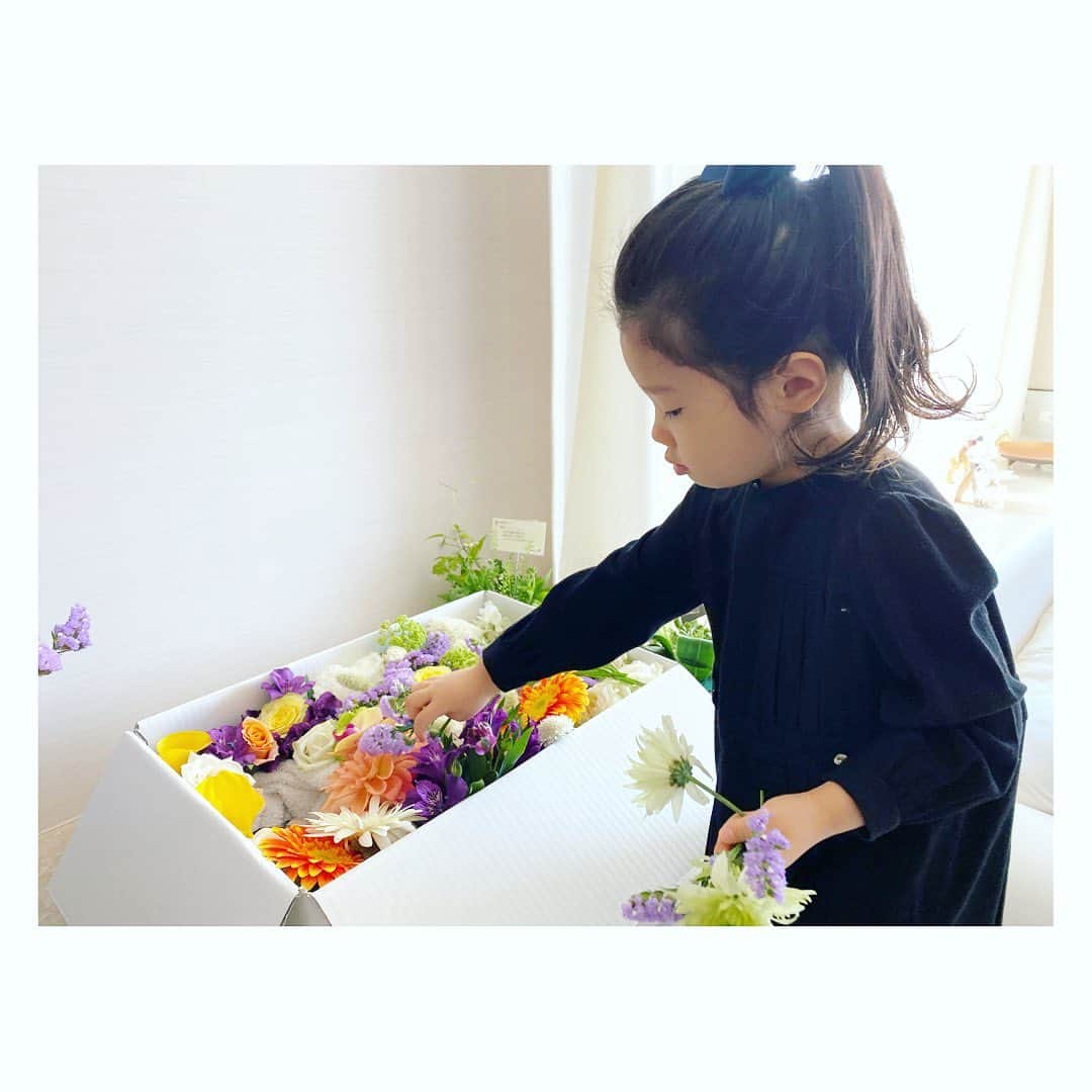 廣瀬規子さんのインスタグラム写真 - (廣瀬規子Instagram)「今朝、ラルちゃんを無事に見送ってきました。 ・ 17年、立派に生ききったラルちゃん。 ・ 火葬の前に、家族で棺にお花をいっぱい入れて見送りました。 ・ 気持ちを整理しようと思って、 今までのラルちゃんとの思い出を、ストーリーに沢山あげちゃったのですが、、、（すみません）整理なんて、、、そんな簡単に出来るわけないですよね。 ・ 時にはこっそり泣きつつ、 ラルちゃんに教えてもらった事を忘れず、いつものように日常を生きていこう。 ・ 火葬を待つ間、導かれるようにして辿り着いた公園では、 4年前の同じ頃、大好きな祖母を見送った時のような青空と、桜、そして、足腰が元気な時だったら、ラルフが笑顔で駆け回ったであろう、大好きな原っぱが広がっていました。 ・ ラルちゃん、 17年間、本当にありがとう。 ・ 虹の橋の向こうで、お友達と沢山駆けっこして遊ぶんだよ。 ・ また会おうね。」4月23日 16時29分 - noriko_style