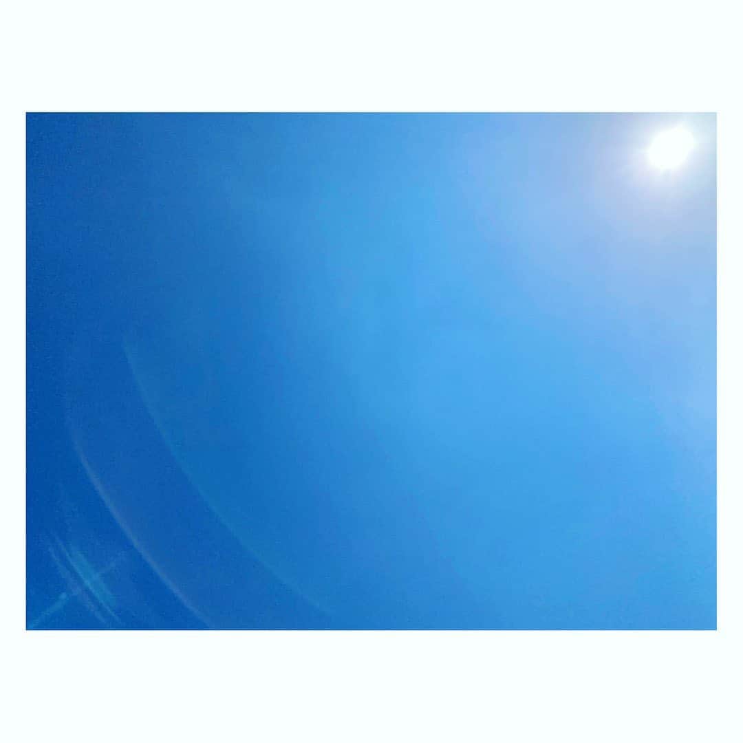 廣瀬規子さんのインスタグラム写真 - (廣瀬規子Instagram)「今朝、ラルちゃんを無事に見送ってきました。 ・ 17年、立派に生ききったラルちゃん。 ・ 火葬の前に、家族で棺にお花をいっぱい入れて見送りました。 ・ 気持ちを整理しようと思って、 今までのラルちゃんとの思い出を、ストーリーに沢山あげちゃったのですが、、、（すみません）整理なんて、、、そんな簡単に出来るわけないですよね。 ・ 時にはこっそり泣きつつ、 ラルちゃんに教えてもらった事を忘れず、いつものように日常を生きていこう。 ・ 火葬を待つ間、導かれるようにして辿り着いた公園では、 4年前の同じ頃、大好きな祖母を見送った時のような青空と、桜、そして、足腰が元気な時だったら、ラルフが笑顔で駆け回ったであろう、大好きな原っぱが広がっていました。 ・ ラルちゃん、 17年間、本当にありがとう。 ・ 虹の橋の向こうで、お友達と沢山駆けっこして遊ぶんだよ。 ・ また会おうね。」4月23日 16時29分 - noriko_style