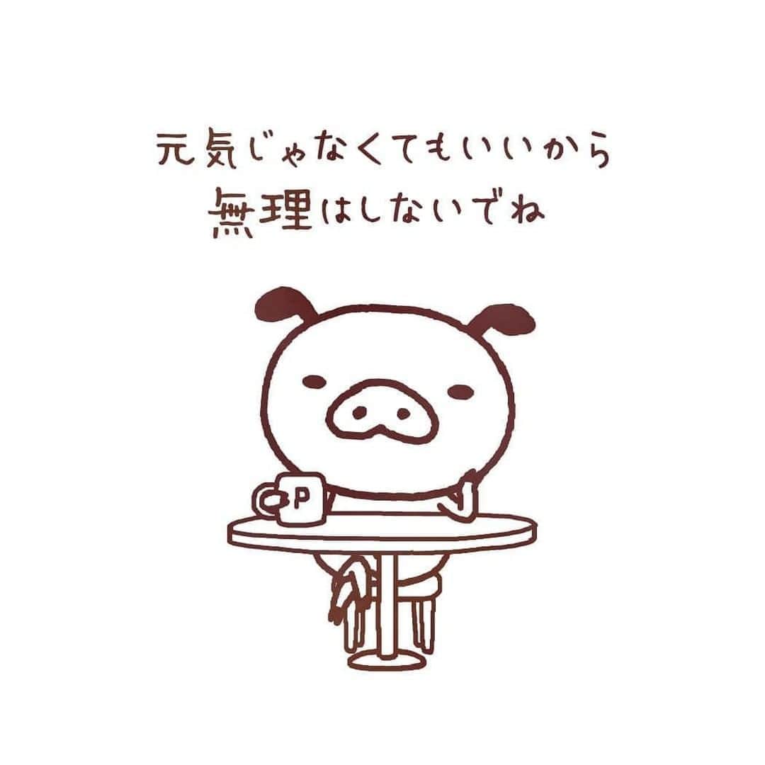 パンパカパンツ公式のインスタグラム