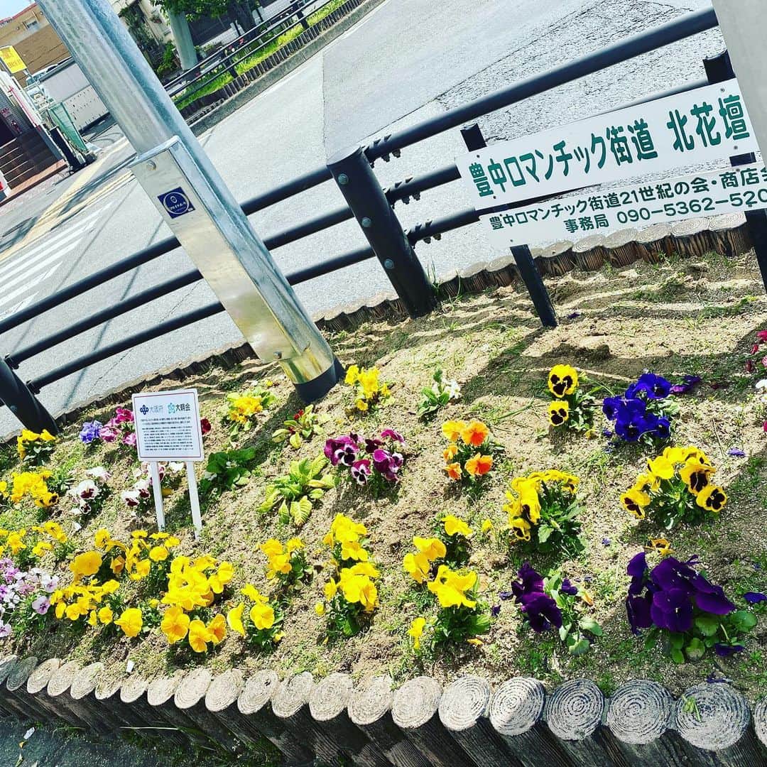 LIXILリフォームショップ外壁・家のリフォームのインスタグラム：「ロマンチック街道、千里川沿の花壇の草抜きをしました。  最近はご夫婦で、親子で、ウォーキングされてる方をよく見かけます。 信号待ちなどで花が目に入って少しでも和んでいただけたら😊  医療従事者の皆様のように直接何か出来る訳ではないけれど、皆様と一緒にこの困難を乗り越えていきたいと思っています🍀  #コロナに負けるな #頑張ろう大阪 #ロマンチック街道 #千里川 #リクシル #リフォーム #地域密着 #地域貢献 #お家のお困りごと #修繕 #修理　#wallhousereform #wallhouse #ウォールハウス #ウォールハウスリフォーム #リクシルリフォームショップ」