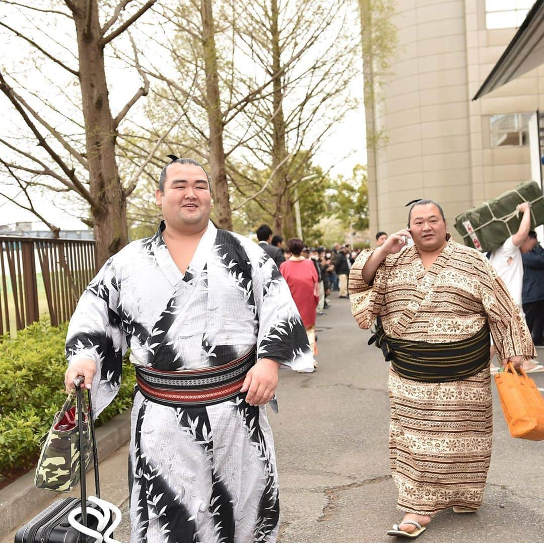 日本相撲協会さんのインスタグラム写真 - (日本相撲協会Instagram)「昨年の春巡業を振り返る🌸﻿ 昨年、八王子市と川崎市で行われた春巡業の写真を振り返ります。 ﻿ ﻿ ・笑顔の千代丸﻿ ・カメラを覗き込む正代﻿ ・ポーズをとる、英乃海と志摩ノ海﻿ ・琴奨菊と豊ノ島（井筒親方）﻿ ・笑顔の安美錦（安治川親方）﻿ ・キャラクターの撮影する千代翔馬、石浦、照強﻿ ・笑顔の竜電﻿ ・土俵入りの準備をする炎鵬﻿ ﻿ 次の巡業地へ出発するバスに向かう、安美錦（安治川親方）。﻿ （撮影：2019.4.10、4.12 　ベースボール･マガジン社）﻿ ﻿ #sumo #相撲 #力士 #大相撲 # #春巡業を振り返る #春巡業 #八王子 #川崎#とどろきアリーナ#  エスフォルタアリーナ八王子#sumowrestling #sumowrestler  #japanculture #千代丸#正代#英乃海#志摩ノ海#安美錦#豊ノ島#琴奨菊#千代翔馬#石浦#照強#竜電#炎鵬」4月23日 18時39分 - sumokyokai