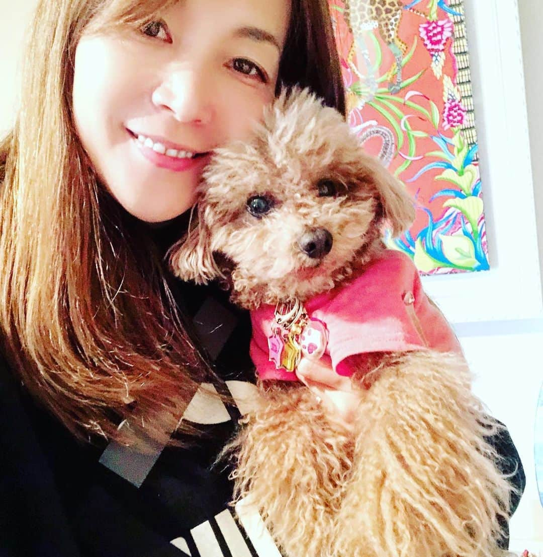 日々野真理さんのインスタグラム写真 - (日々野真理Instagram)「毎日一緒💕 ・ #cocoa #愛犬 #大切な家族 #健康でいられるように  #ひとりひとりが #自分の行動に責任を  #人のために何ができるか #ファミリー #boasorte  #puma #hermes  #おうち時間を楽しむ #トイプードル」4月23日 18時56分 - marihibino1031