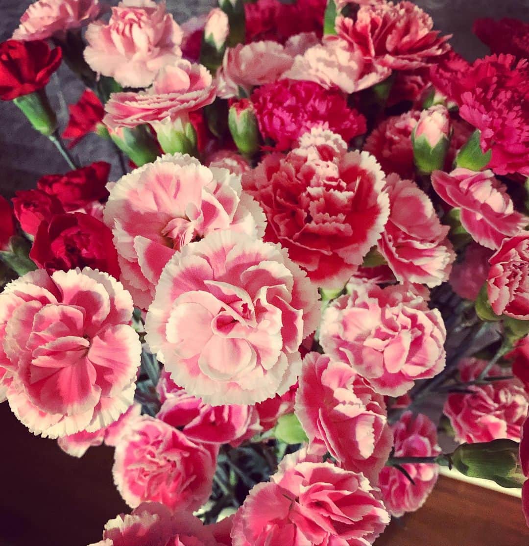 のインスタグラム：「カーネーション。 切り花がたくさん捨てられてるそうなので。 Lots of flowers are thrown away...😢 Beautiful carnations. #切り花 #お花を買いましょう #letsbuyflowers」