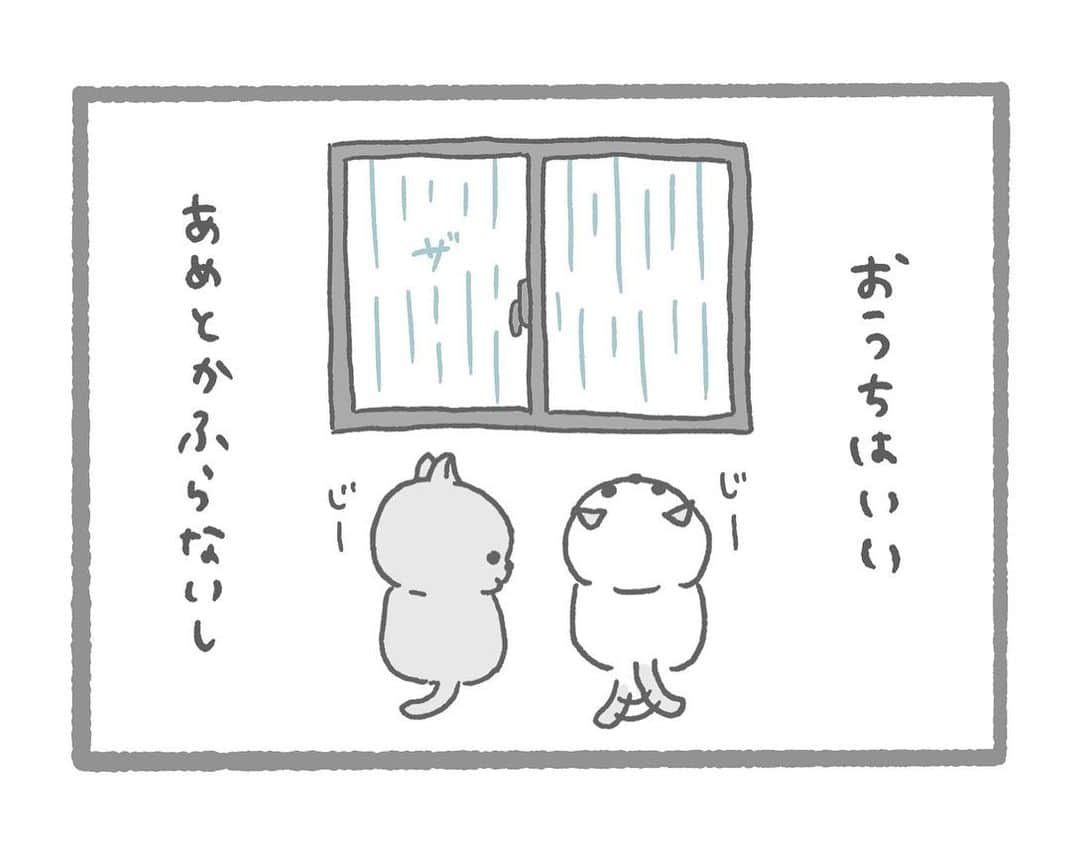 小鳥遊しほのインスタグラム：「おうちもいいよ。おうちにいようね。  @oudon_and_osoba  #stayhome #illustration  #comics #うどんとおそば」