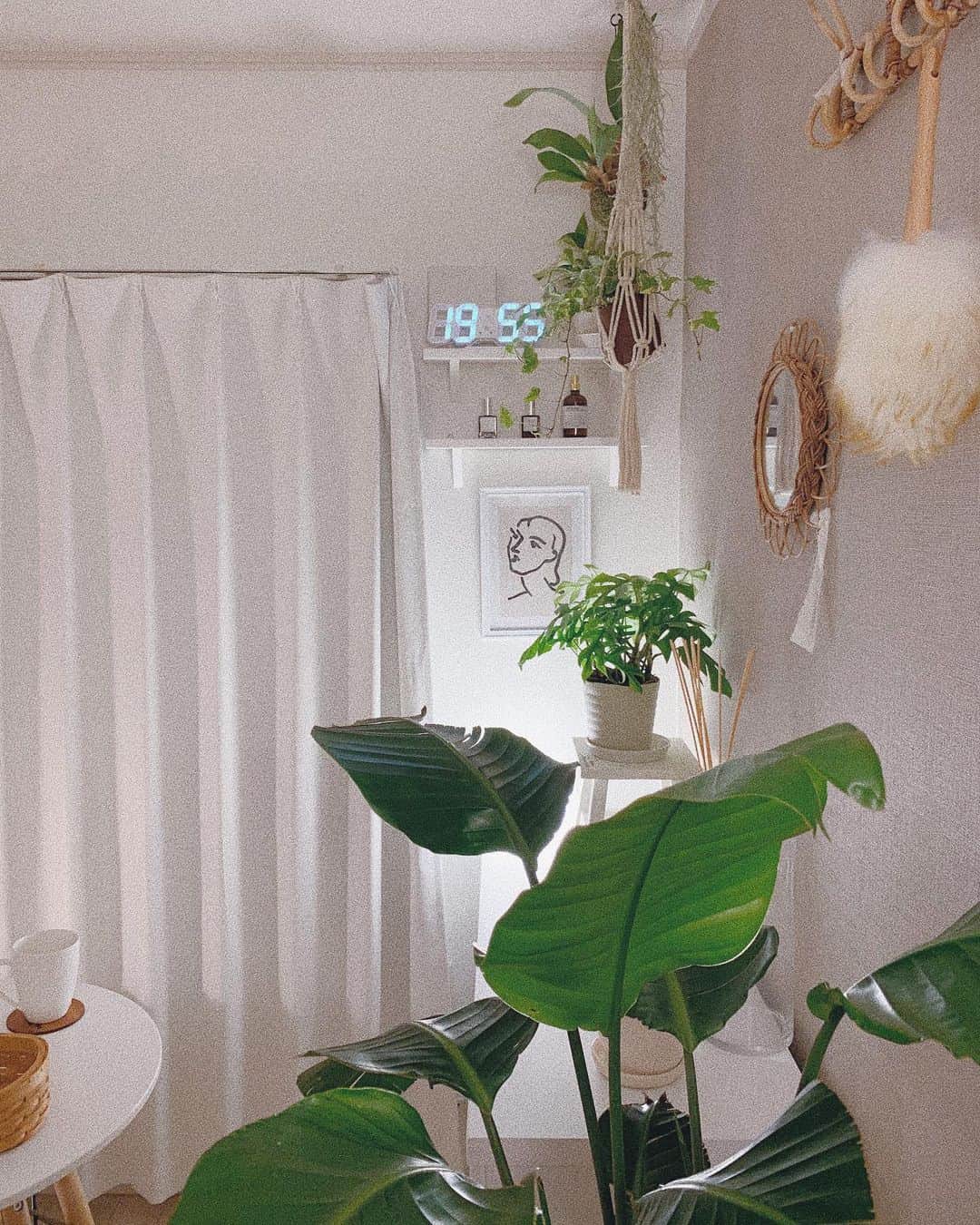 中谷愛のインスタグラム：「My plants🌱 すくすく育ってきた🧚🏻♡ #ai__room」