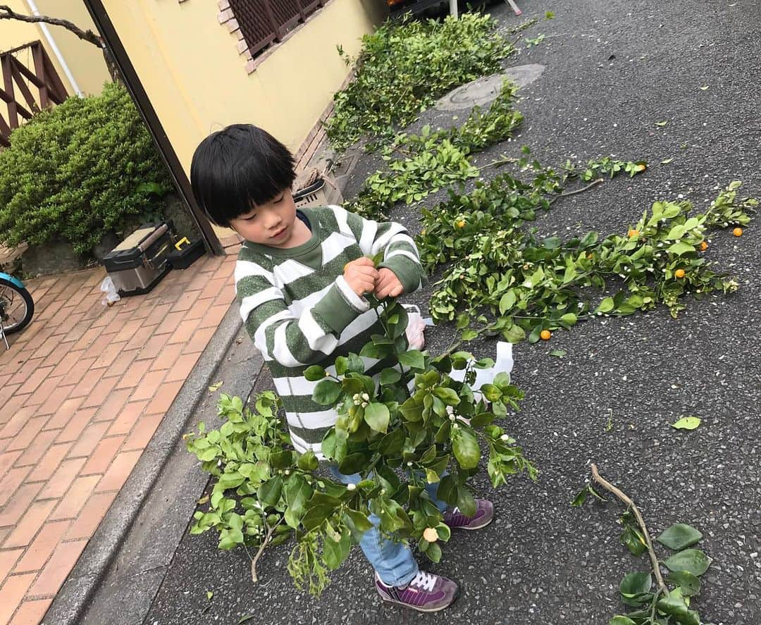 神野美伽のインスタグラム