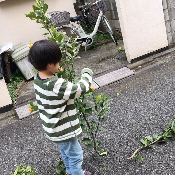 神野美伽のインスタグラム