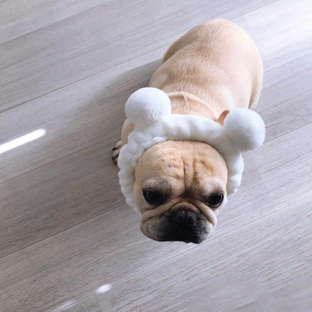 西谷菜々のインスタグラム：「. 🐶🐾」