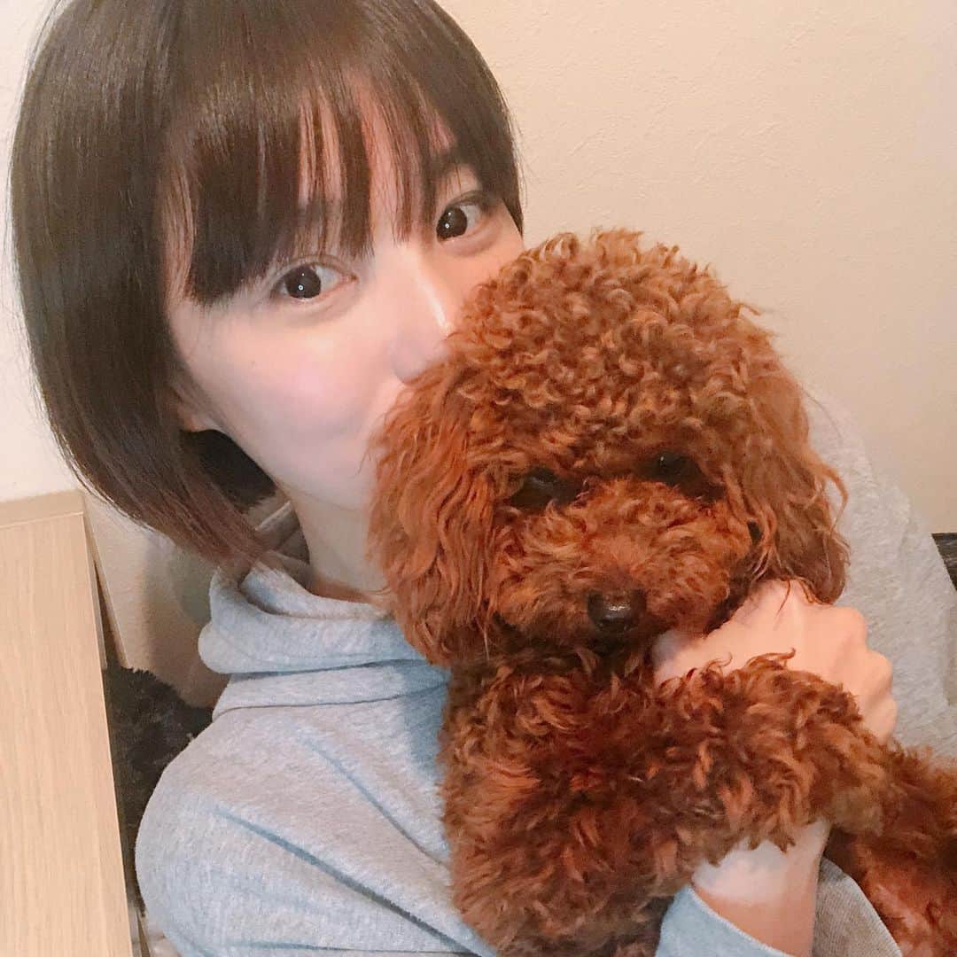 佐藤綾衣さんのインスタグラム写真 - (佐藤綾衣Instagram)「毛がもじゃもじゃ。 それも可愛い。 ぬいぐるみだな。きゅん。 #instadog #dog #doglife #ぴけ #ayagi #佐藤綾衣」4月23日 20時56分 - ayagiii1130