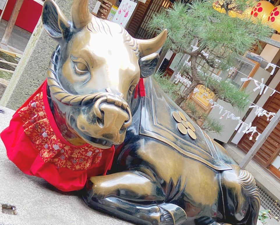 中村このみさんのインスタグラム写真 - (中村このみInstagram)「. 早くお出かけしたいな。 写真は年明けに京都に行った時⛩ キラキラした牛さんがいたよ🐄 ん〜〜牧場行きたい。（笑） . #錦天満宮 #京都 #神社」4月23日 21時55分 - konomi__119