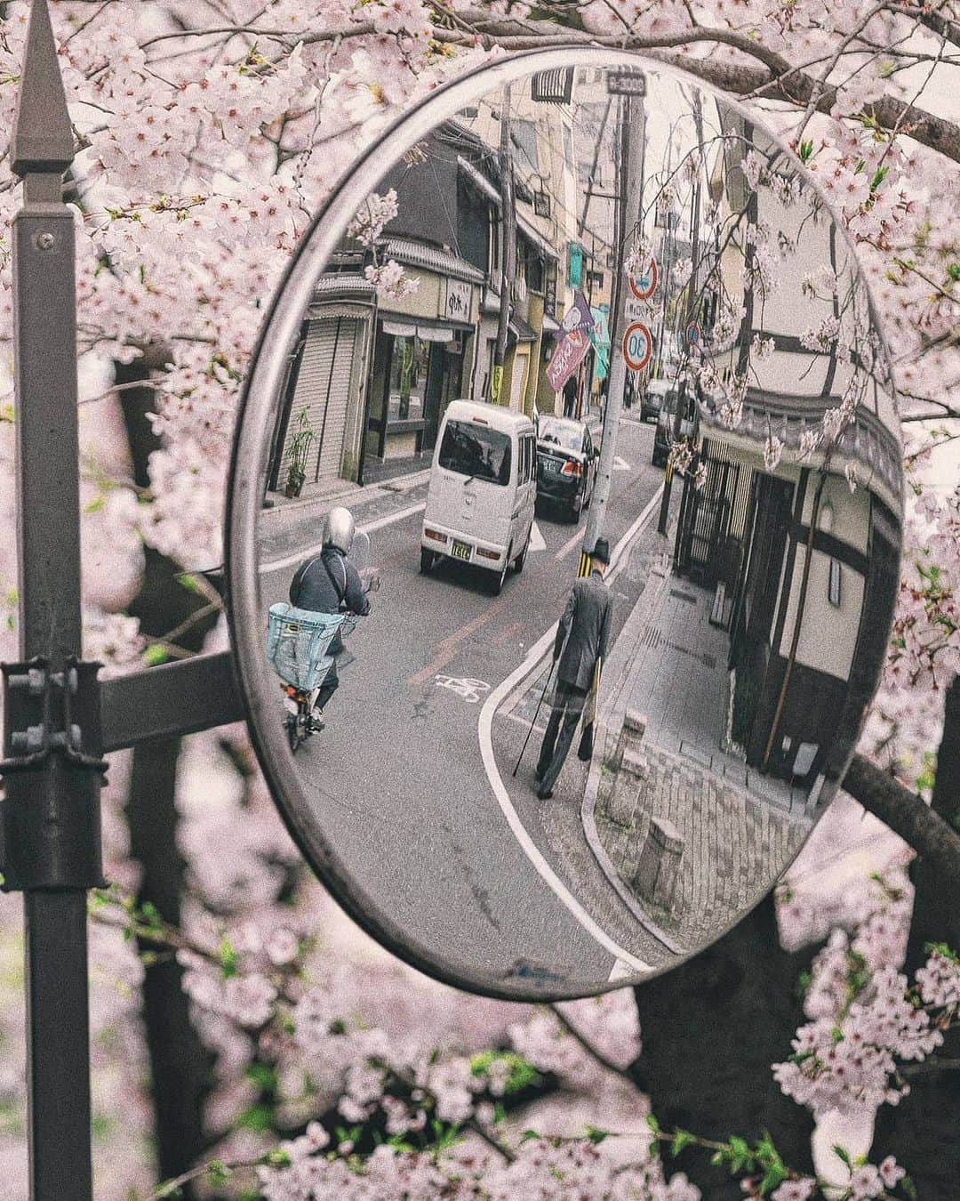 Berlin Tokyoさんのインスタグラム写真 - (Berlin TokyoInstagram)「In spring, the most beautiful moment is dawn. . . . #hellofrom #kyoto, #japan」4月23日 22時05分 - tokio_kid