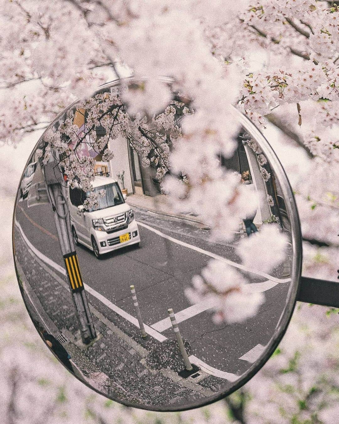 Berlin Tokyoさんのインスタグラム写真 - (Berlin TokyoInstagram)「In spring, the most beautiful moment is dawn. . . . #hellofrom #kyoto, #japan」4月23日 22時05分 - tokio_kid