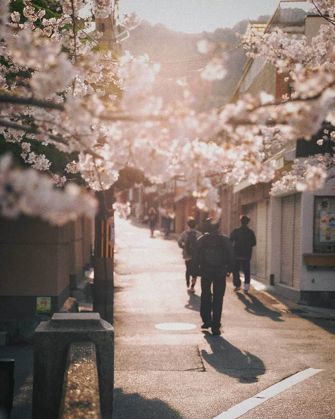 Berlin Tokyoさんのインスタグラム写真 - (Berlin TokyoInstagram)「In spring, the most beautiful moment is dawn. . . . #hellofrom #kyoto, #japan」4月23日 22時05分 - tokio_kid