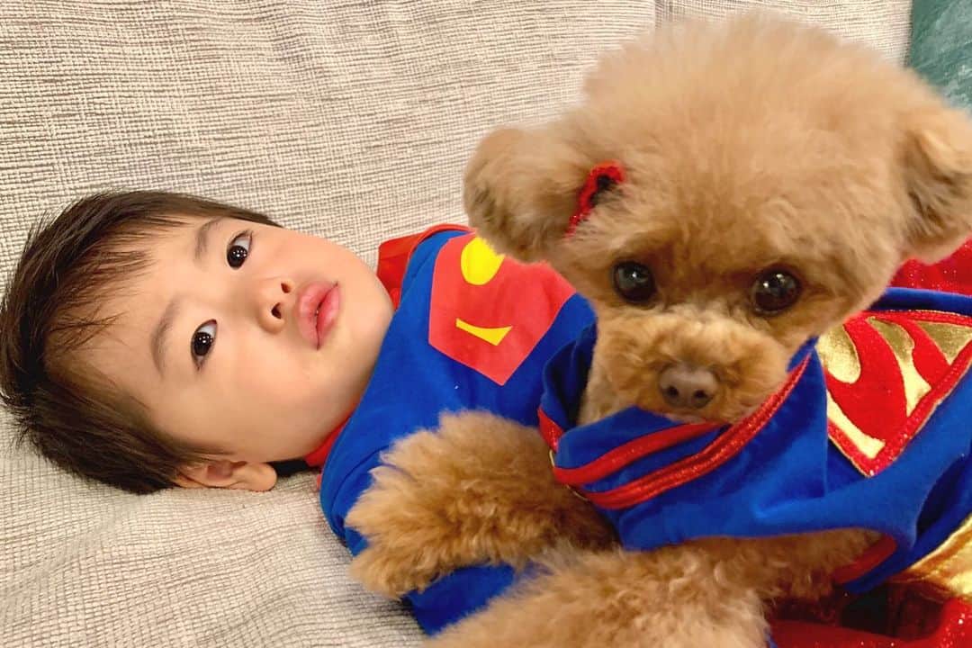 ? Tia ?さんのインスタグラム写真 - (? Tia ?Instagram)「SUPER MAN＆SUPER DOG‼️‼️ スーパーマンごっこ遊びが1番のお気に入り👦🏻💓 #superman #superman💪 #supermanfan #supermancosplay #supermancostume #superdog #superdog_world #supergirl #supergirlcosplay #スーパーマン #dogandchild #dogandkids #superkid #ママリ #コドモノ #myson #おうち時間 #スーパーヒーロー #superhero #lovemyfamily #lovemydog #cute #cutedog #cutest #instahero #dogmylove #toypoodle #toypoodlesofinstagram」4月23日 22時15分 - tia1101
