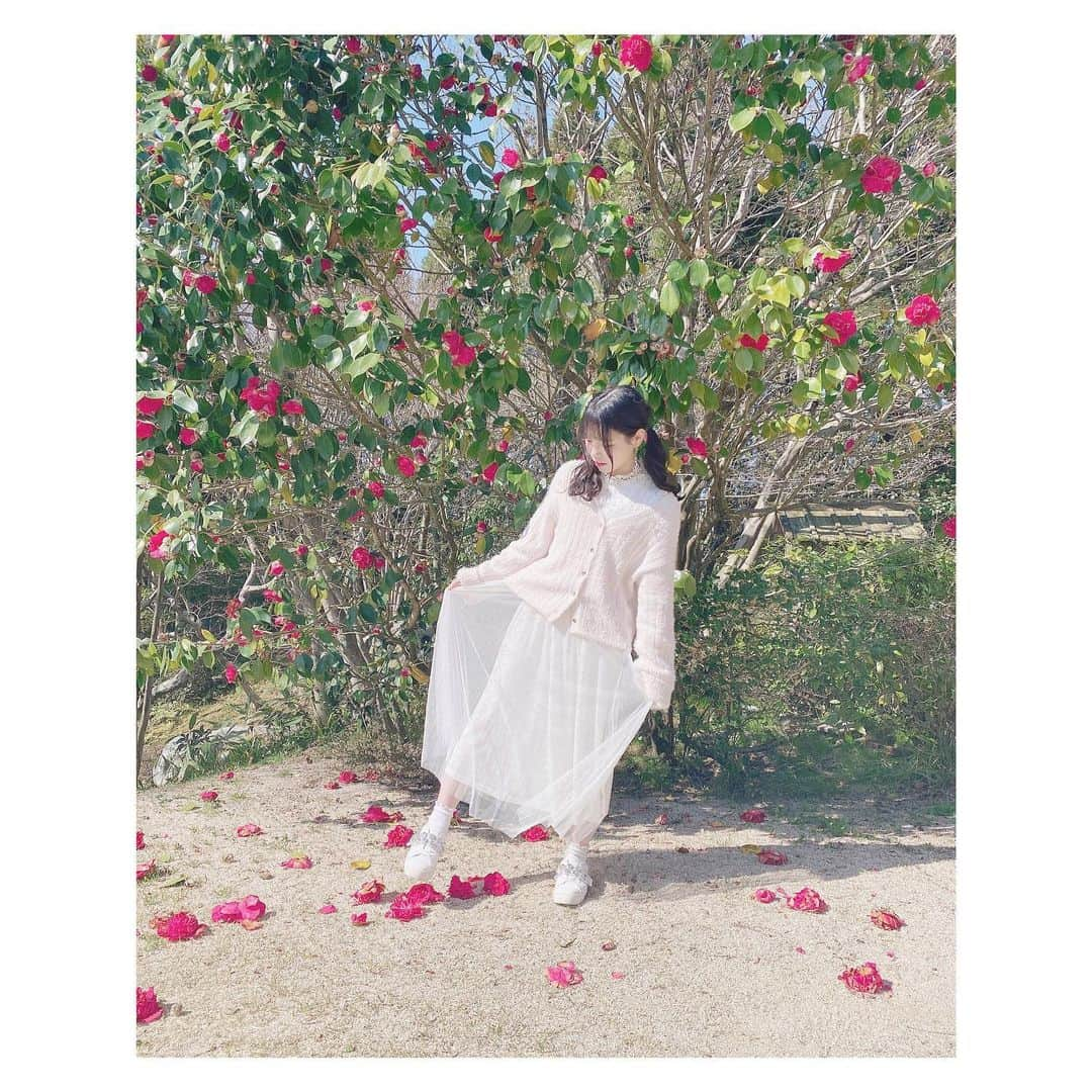 岩田陽菜さんのインスタグラム写真 - (岩田陽菜Instagram)「全身な感じも！☺️🤍❤️﻿ ﻿ ﻿ #椿﻿ #広島エアポートホテル#広島庭園#日本庭園#庭園#三景園##フォレストヒルズガーデン#広島#広島観光#foresthillsgarden#広島空港#コテージ#和食#春#spring#outer#niceclaup#ワンピース#marieebouquetde#ヘアアレンジ#巻き髪#ツインテール#イヤリング#白ワンピ」4月23日 22時22分 - hina_naso_stu48