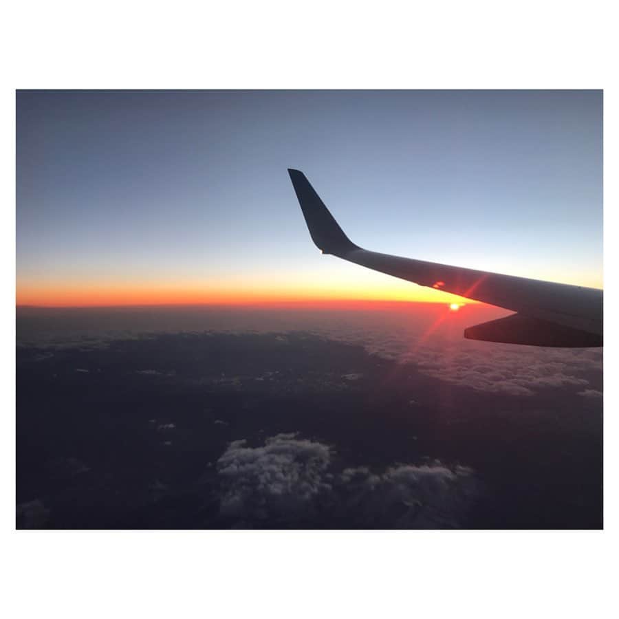 荒川れん子のインスタグラム：「No any flights between Hawaii and Japan at least by end of May😭 今ひとつも飛んでいないハワイ〜日本間の飛行機、少なくとも5月末までどの航空会社も運休決定だそう。日本のみんな、今何かあっても行けないから、お願いだから元気でいてね‼️ 遠い祖国になってしまった😭 (2枚目は日刊サンのサイトから) . . #hawaii #flight #lovehawaii #luckywelivehawaii #hawaiilife #lifeisajourney #coronavirus #hawaiistagram #instahawaii #blog #quarantine #stayhome #stayathome #ハワイ #ハワイ生活 #海外生活 #旅 #ハワイ好き #日々の暮らし #自宅待機 #外出自粛 #頑張れハワイ #頑張れ日本 #カコソラ #おうち時間 #飛行機 #鎖国 #😭 #空 #詳しくはブログで」
