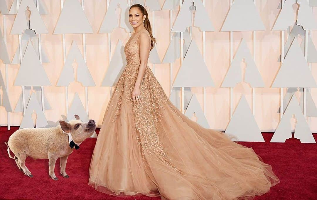 Jamonさんのインスタグラム写真 - (JamonInstagram)「Me and my girl, the one and only, @jlo at the Oscar. #tbt  #meandjlo #jlo #tbt #throwbackthursday #throwback #jamonthepig #pigwithabowtie #theoscargoesto」4月24日 6時51分 - jamonthepig