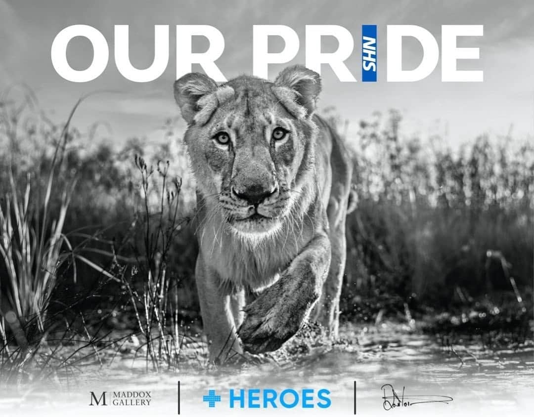 アーロン・ラムジーさんのインスタグラム写真 - (アーロン・ラムジーInstagram)「Please join me in supporting the #ArtForHeroes campaign alongside @helpthemhelpus_ @DavidYarrow and @MaddoxGallery.  David Yarrow, has donated a print series of this image 'Our Pride', with 100% of proceeds going directly to HEROES - a charitable organisation founded by NHS doctors and nurses to support our incredible HEROES on the front line. Please support if you can.」4月24日 18時45分 - aaronramsey