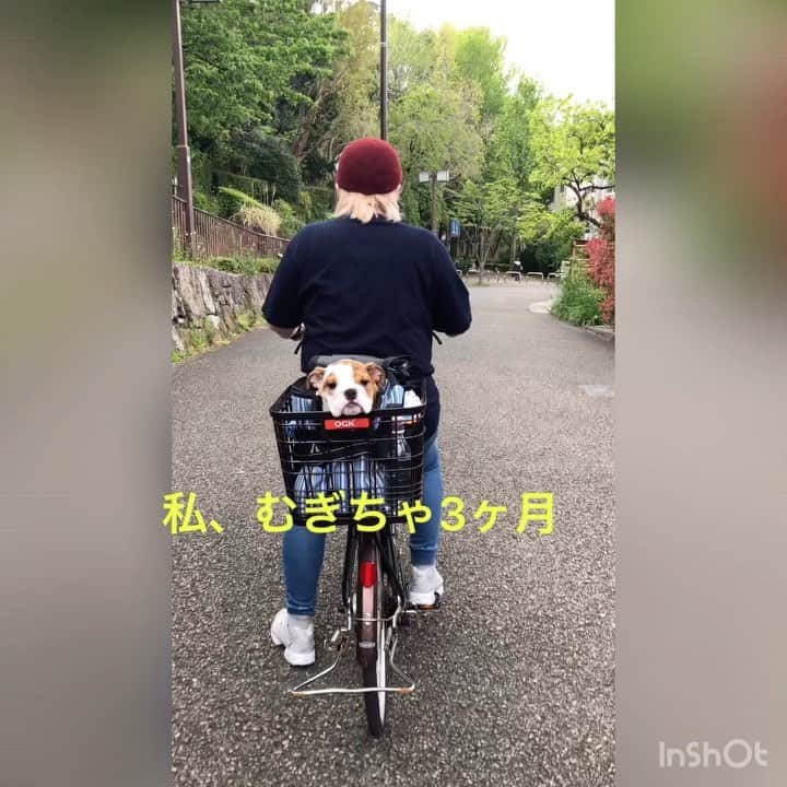 堀田祐美子のインスタグラム