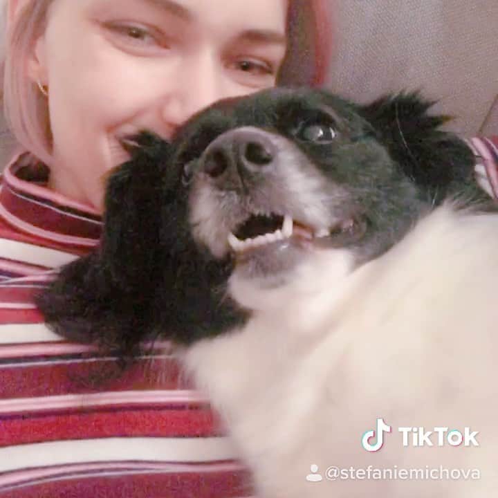ステファニー・ミチョヴァのインスタグラム：「I always thought this was the perfect song for our dog ggomi. After we rescued her she was really terrified but now she has become the biggest snuggler 🥰  I nominate @ajol_llama , @arden_cho , @itschiny EVERYONE SHOW ME YOUR DOGGIES ❤️❤️❤️」