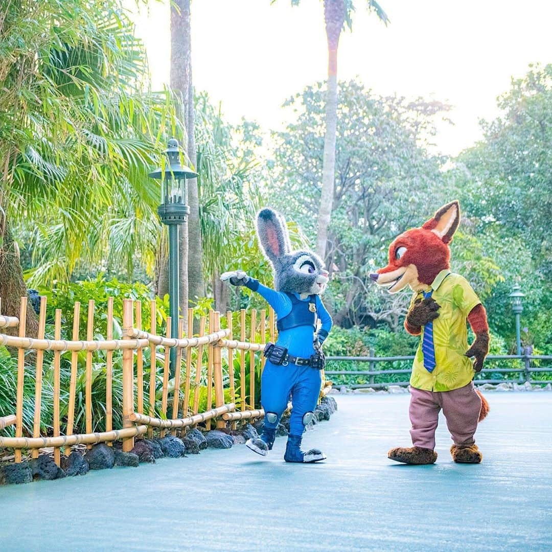 東京ディズニーリゾートさんのインスタグラム写真 東京ディズニーリゾートinstagram Best Buddies 最高のバディ Judyhopps Nickwilde Zootopia Tokyodisneyland Tokyodisneyresort ジュディホップス ニックワイルド ズートピア 東京ディズニーランド