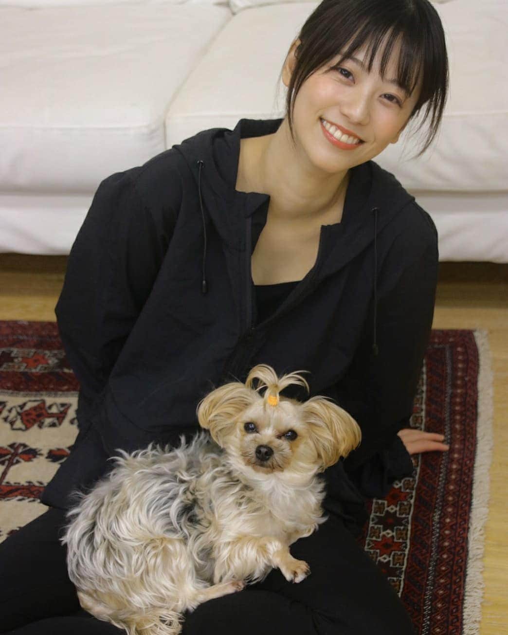 溝口恵さんのインスタグラム写真 - (溝口恵Instagram)「ひじき最近ちょんまげです。  #愛犬 #ひじめぐ #うちのこかわいい #わんこのいる生活 #ちょんまげ犬 #癒やされます」4月24日 18時53分 - mizomegudesu78