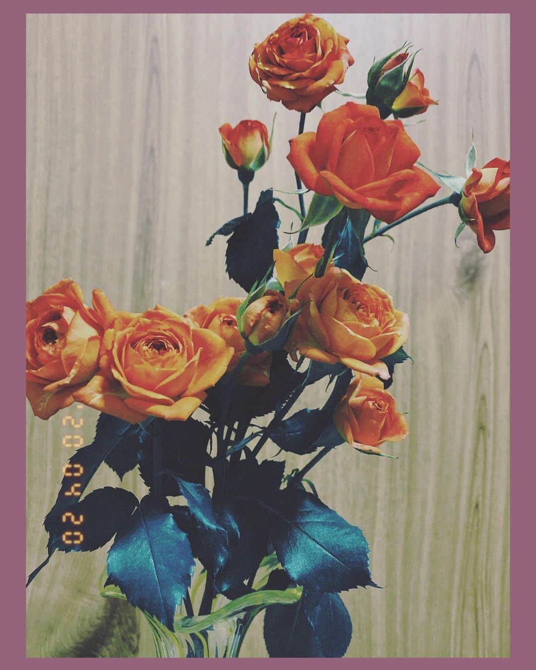 佐藤七海のインスタグラム：「🥀」