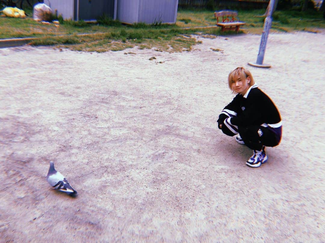 鯨井俊介のインスタグラム：「鳥」