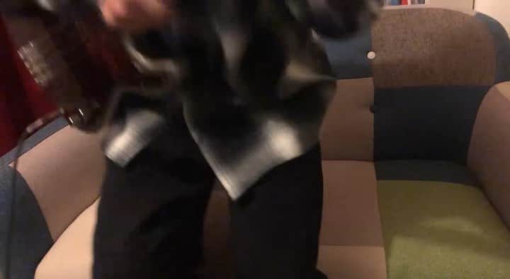 フジムラのインスタグラム：「フューリー弾いてみたよん〜。」