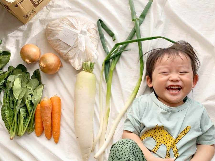 のインスタグラム：「📦 @gohiiki さんから、野菜たちが 届きました🥬🥕🧅🍅 * 好きな金額を設定するだけで、全国の農家さんから、 採れたての 新鮮な野菜が おうちに 届くよ🏠✨ * 今回 私は 3,000円分で「美味しいお米🍚が食べたい (野菜は お任せ)」と リクエストしました😋💕 * 野菜、お米、果物なども 色々リクエスト出来るみたい🍓 * 美味しかったし、何が届くかワクワク楽しませてもらいました☺️📦🌈✨ * #ゴヒイキ#gohiiki#野菜通販#旬の野菜#ほうれん草#人参#菜の花#玉ねぎ#米#赤とんぼ米」