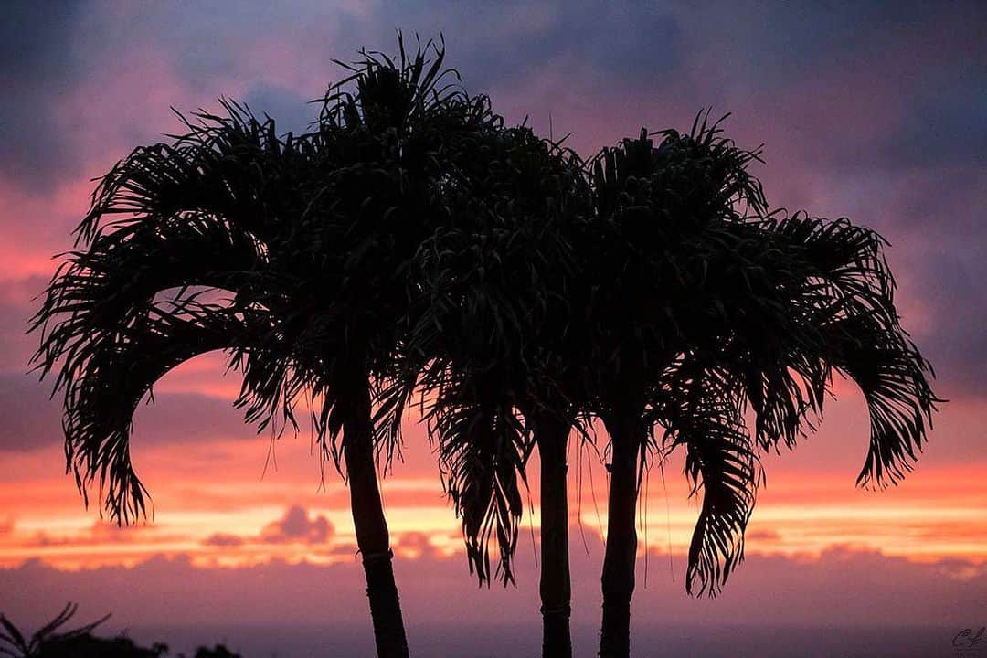 クラーク・リトルさんのインスタグラム写真 - (クラーク・リトルInstagram)「Tonight's sunset. #goodnight #hawaii #paradise #aloha #clarklittle 🆑」4月24日 17時04分 - clarklittle