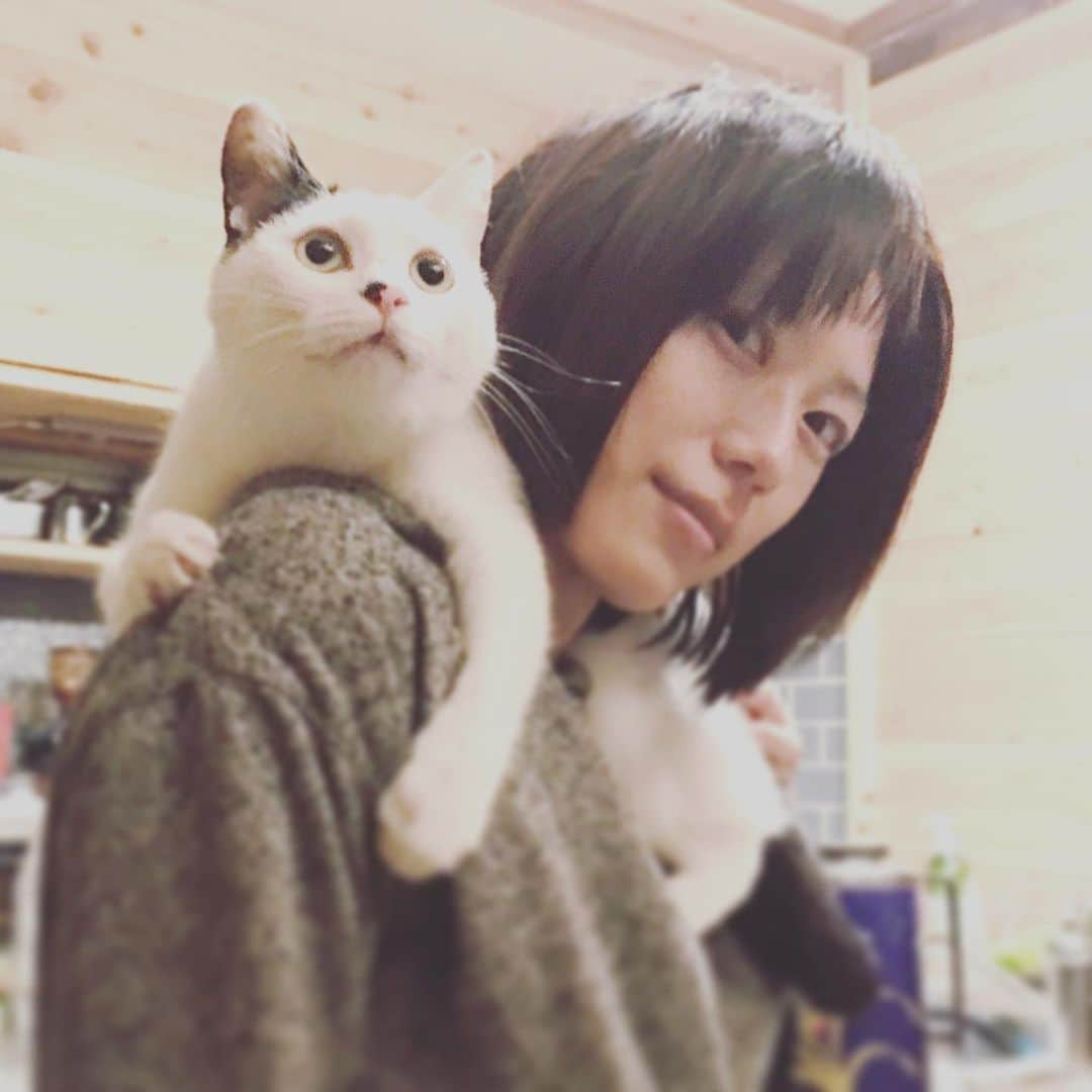 甲斐麻美のインスタグラム