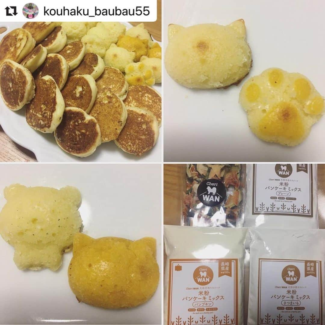 CheriWANさんのインスタグラム写真 - (CheriWANInstagram)「肉球型パンケーキ🥞 可愛く作っていただきありがとうございます😊💓 #CheriWAN #シェリーワン #犬 #ふわもこ部 #愛犬 #わんこ#ペット #いぬすたぐらむ #ワンコ#無添加 #無着色 #無香料 #米粉パンケーキミックス #グルテンフリー #米粉 #ドッグフード #いぬ#いぬのおやつ #ワンちゃん用 #いちご #なし #スイカ#ドライフルーツ ﻿ 完成したパンケーキは﻿ 下記ハッシュタグでシェア🥞❤️↓﻿ #ワンコ米粉パンケーキ」4月24日 19時43分 - cheriwan_official