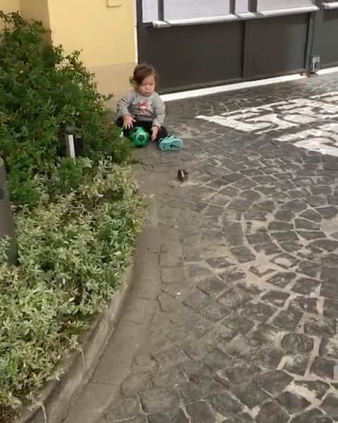 アレッシオ・チェルチのインスタグラム：「Bravo Leo , Orgoglio di Papà 🤣🤣🤣⚽️ (Big brother insegna)  AUDIO ON —> mio suocero Johnny 😅 @federicc11」