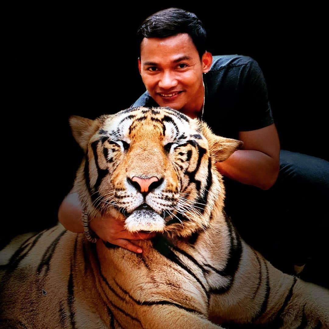 トニー・ジャーのインスタグラム：「be brave and fight the tiger.」