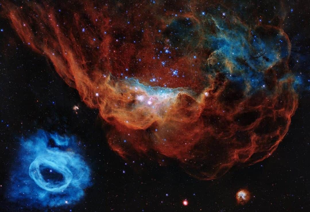 NASAさんのインスタグラム写真 - (NASAInstagram)「🔥 *GASP...dive into this tapestry of blazing starbirth as we celebrate Hubble's 30 years in space! ✨ 👀  NASA is celebrating the Hubble Space Telescope's 30 years of unlocking the beauty and mystery of space by unveiling a stunning new portrait of a firestorm of starbirth in a neighboring galaxy.  In this Hubble portrait, the giant red nebula (NGC 2014) and its smaller blue neighbor (NGC 2020) are part of a vast star-forming region in the Large Magellanic Cloud, a satellite galaxy of the Milky Way, located 163,000 light-years away. The image is nicknamed the "Cosmic Reef," because it resembles an undersea world.  Thirty years ago, on April 24, 1990, Hubble was carried aloft from NASA's Kennedy Space Center in Florida aboard the space shuttle Discovery, along with a five-astronaut crew. Deployed into Earth orbit a day later, the telescope opened a new eye onto the cosmos that has been transformative for our civilization.  Hubble is revolutionizing modern astronomy, not only for scientists, but also by taking the public on a wondrous journey of exploration and discovery. Hubble's never-ending, breathtaking celestial snapshots provide a visual shorthand for Hubble's top scientific achievements. Unlike any space telescope before it, Hubble made astronomy relevant, engaging and accessible for people of all ages. The space telescope's iconic imagery has redefined our view of the universe and our place in time and space. "Hubble has given us stunning insights about the universe, from nearby planets to the farthest galaxies we have seen so far," said Thomas Zurbuchen, associate administrator for science at NASA Headquarters in Washington, D.C. "It was revolutionary to launch such a large telescope 30 years ago, and this astronomy powerhouse is still delivering revolutionary science today. Its spectacular images have captured the imagination for decades, and will continue to inspire humanity for years to come." Read more: nasa.gov/Hubble  Credit: NASA, ESA and STScI #happybirthdayhubble」4月24日 20時41分 - nasagoddard