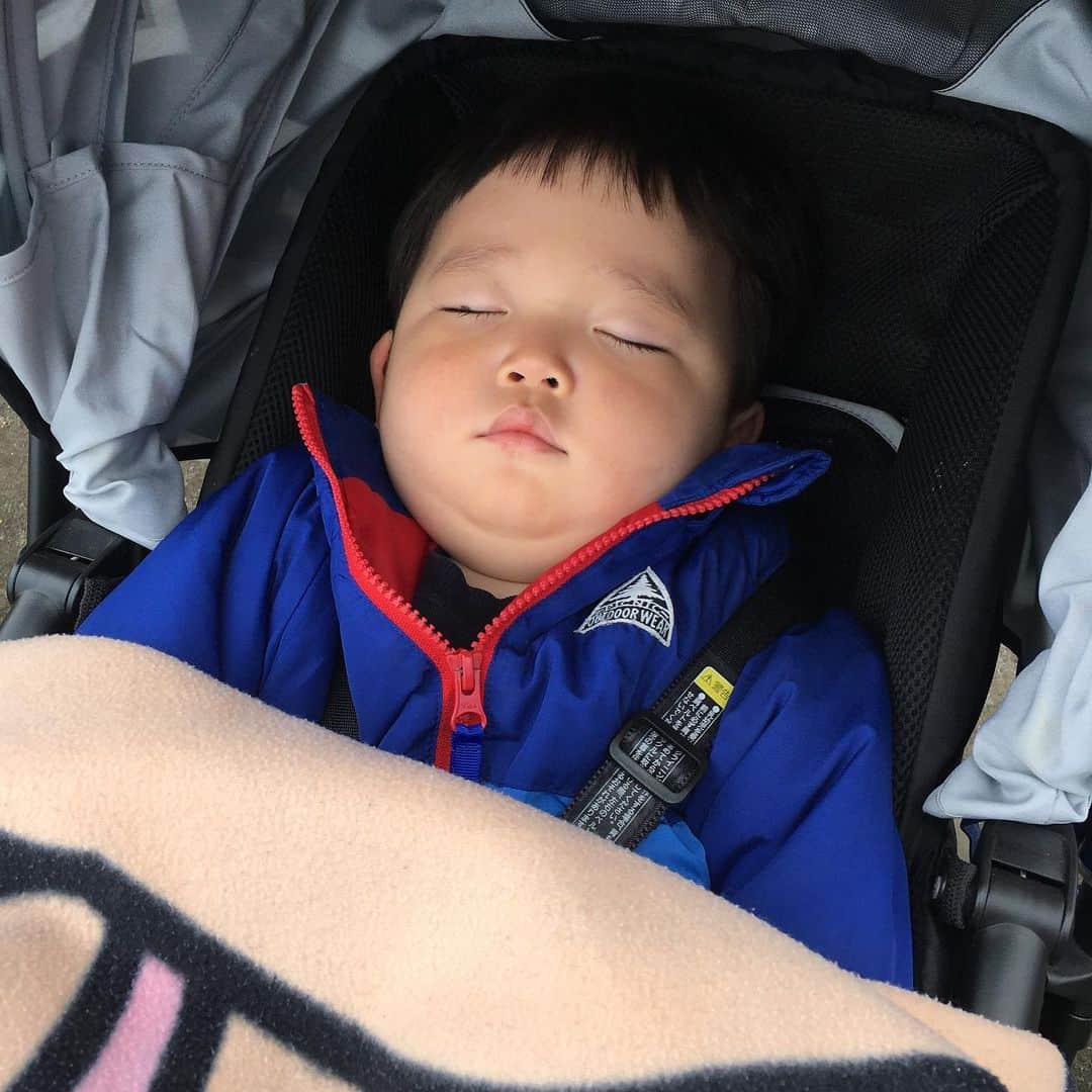 山西章博のインスタグラム：「最近ベビーカーでしか昼寝しません…。何で？ #赤ちゃん #嫡男 #せがれ #昼寝 #家で寝かせようとすると泣き叫ぶ #ベビーカーだと一瞬で寝る #夜は家でも寝る #何故？ #二重顎 #耳だけ似てる #耳以外も似て来た #これ以上似るな #ママリ#パパリ#ベビフル#ベビリトル#コドモノ#mamanoko#コノビー#mamanokoカメラ部#mamanokoギフトキャンペーン#コドモダカラ」