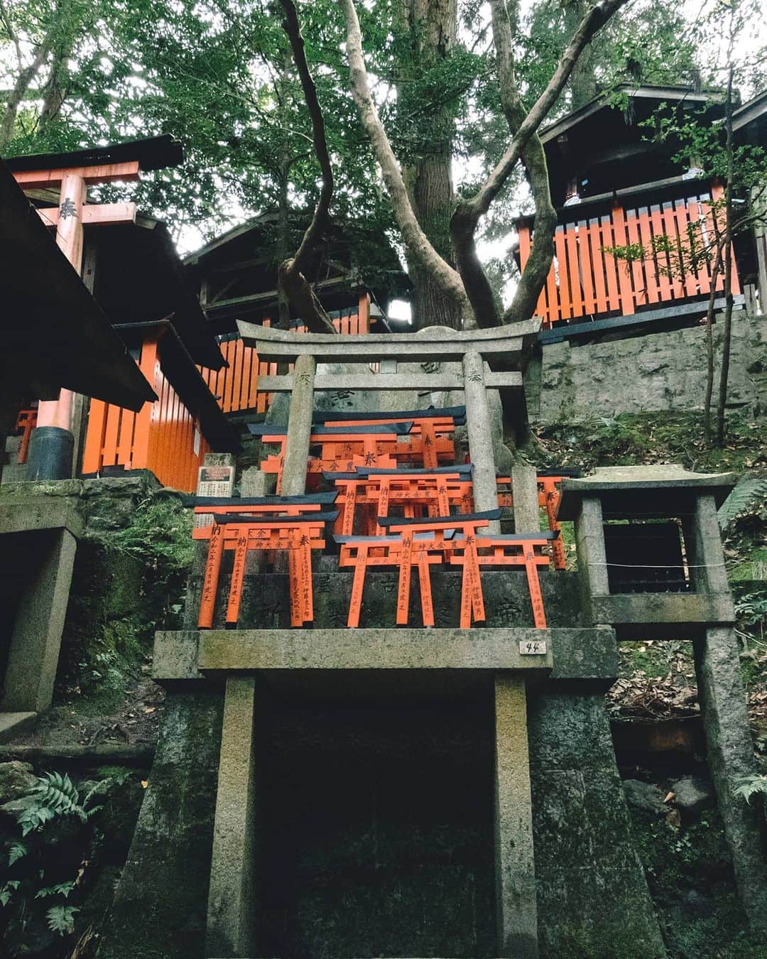 woody_chaiのインスタグラム：「.」