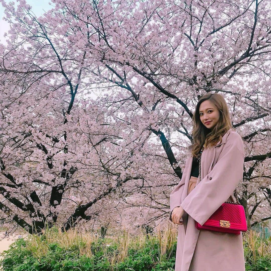 小川真葵さんのインスタグラム写真 - (小川真葵Instagram)「2年前！ハタチ！ #🌸 #お花見」4月24日 22時03分 - aoi1002_