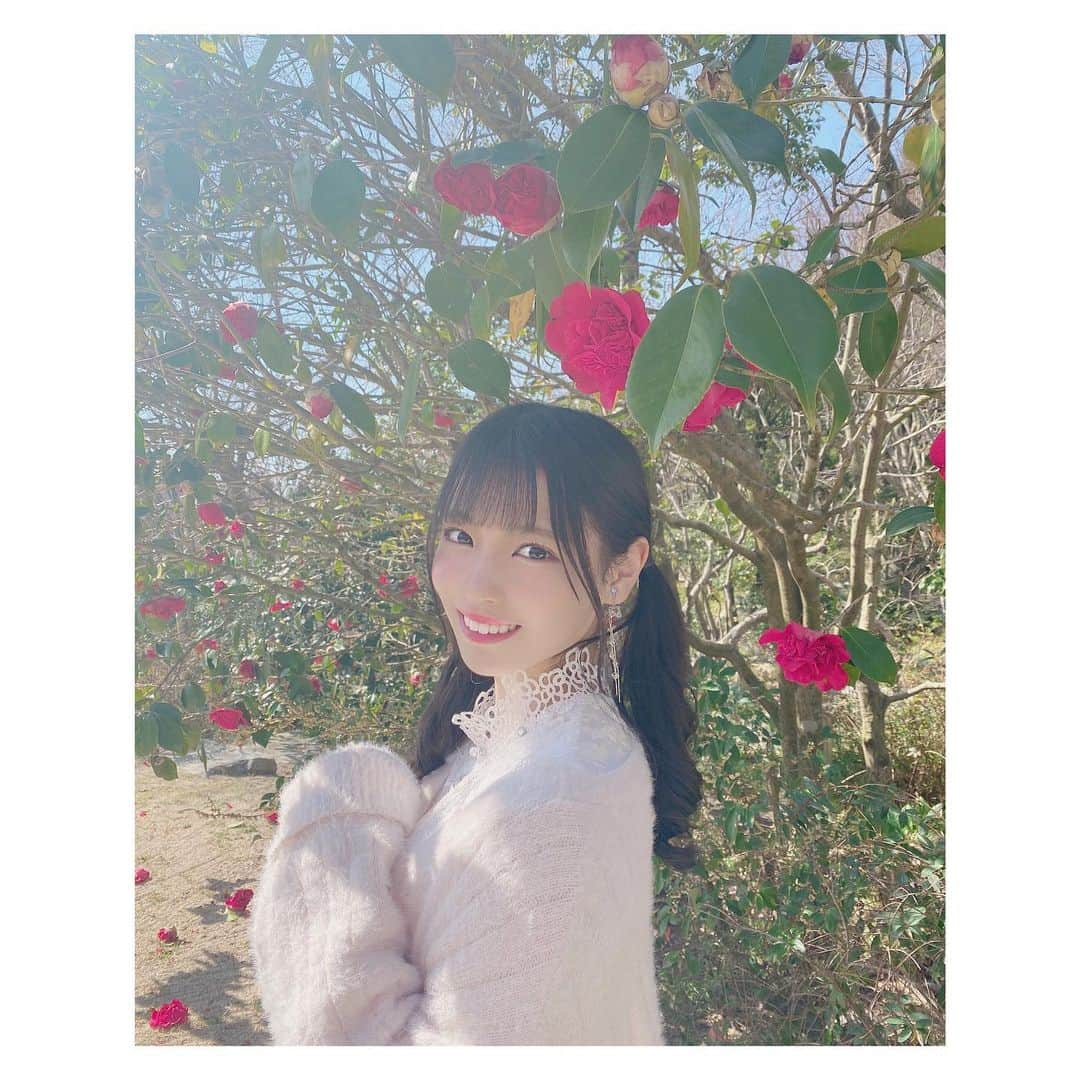 岩田陽菜さんのインスタグラム写真 - (岩田陽菜Instagram)「椿の赤さが美しくて映えてる。。❤️﻿ ﻿ #椿﻿ #広島エアポートホテル#広島庭園#日本庭園#庭園#三景園##フォレストヒルズガーデン#広島#広島観光#foresthillsgarden#広島空港#コテージ#和食#春#spring#outer#niceclaup#ワンピース#marieebouquetde#ヘアアレンジ#巻き髪#ツインテール#イヤリング#白ワンピ」4月24日 22時09分 - hina_naso_stu48