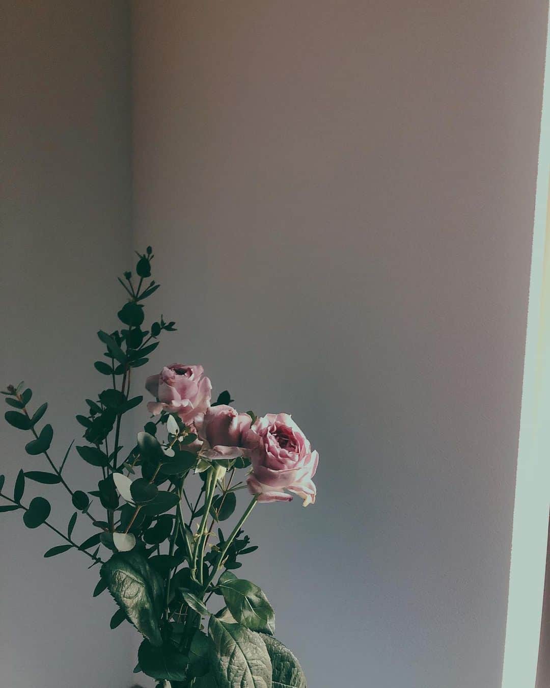 瀧川ありささんのインスタグラム写真 - (瀧川ありさInstagram)「呼吸.  #flowers#花#花びら」4月24日 22時18分 - alisatakigawa