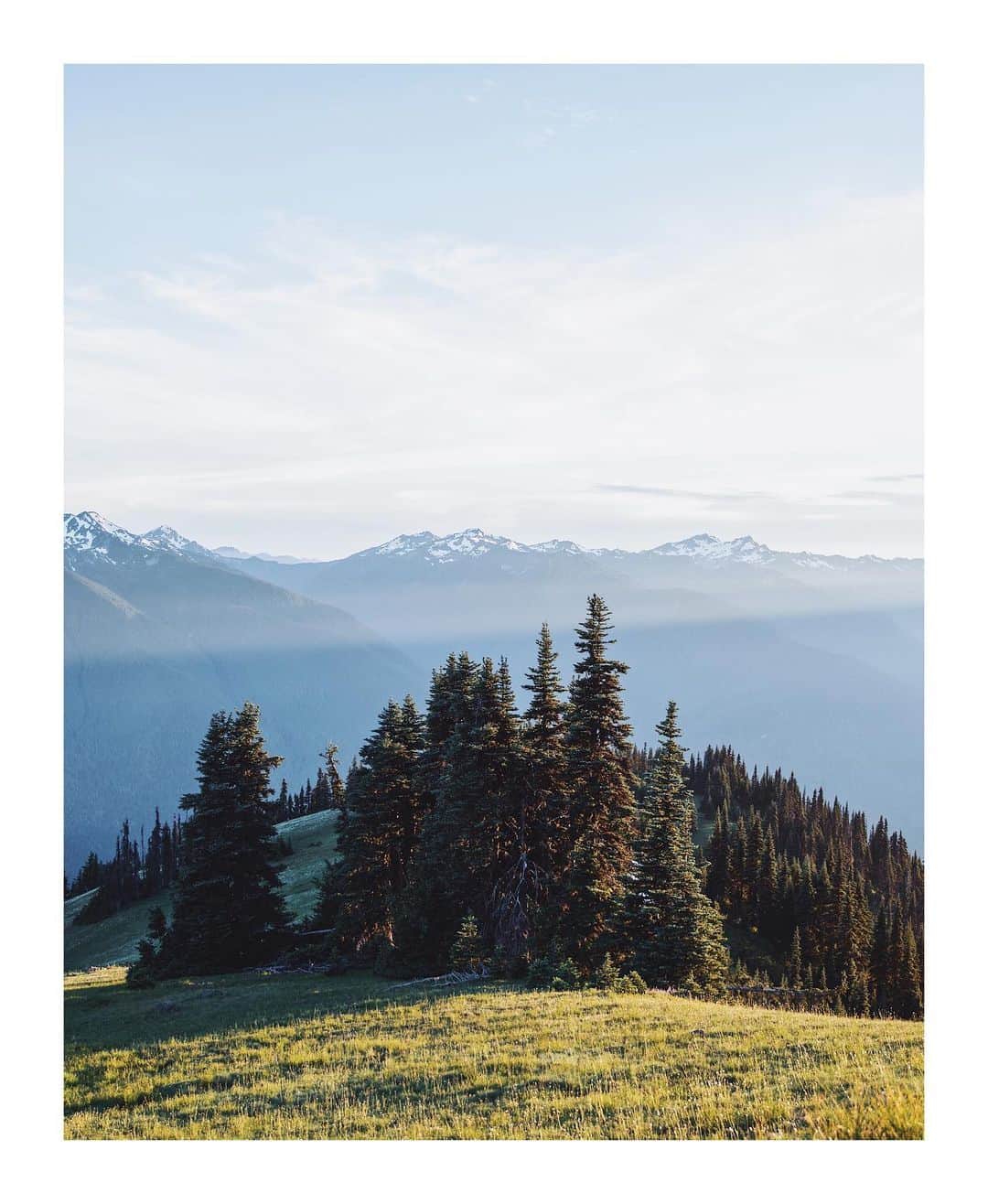 Cory Staudacherのインスタグラム：「🌲Today is Arbor Day 🌲 - I’m partnering with @blackforestusa to help build the first ever Virtual National Forest #Ad. For every photo of trees you hashtag #🐻❤️🌲, they will be donating $1 to the @nationalforests to plant 1 real tree (up to $50k)!」