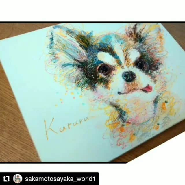 くるるのインスタグラム：「くるるができるまでを載せてくれたよ🐶५✍⋆* ブラボ〜👏😀🎊 さやかさんは魔法使いなのかな❔ . . #Repost @sakamotosayaka_world1 (@get_repost) ・・・ . ○#さかもとさやかの似顔絵 ○ . . くるるちゃんができるまで 一番はじめの下描きは 超ざっくりです😂 . . #似顔絵 #ペットの肖像画 #ウチの子グッズ #instachihuahua #instadog#ig_dogphoto #chihuahua #dog #チワワ #ふわもこ部 #犬バカ部 #치와와 #吉娃娃 #奇瓦瓦 #lovedogs #ロングコートチワワ #IGersjp#ilovemydog  #dogstagram  #dogs_of_instagram」