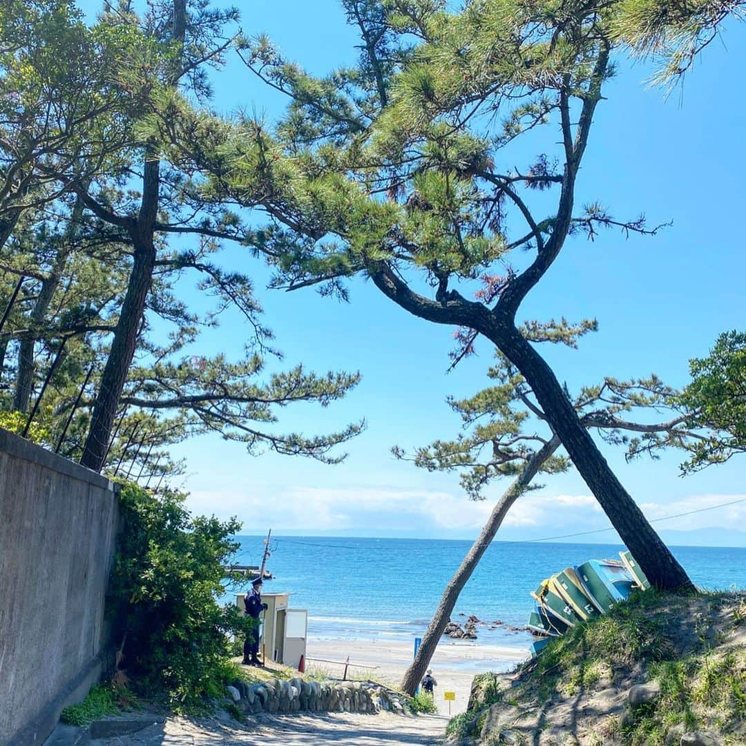 Hiroe Hiranoさんのインスタグラム写真 - (Hiroe HiranoInstagram)「お天気の良い日は、近所の海へ。﻿ 散歩やジョギングを🌞﻿ ﻿ 日の光を浴びて、﻿ ビタミンD生成しよう✨﻿ ﻿ 緑ジュースは毎朝欠かさず。﻿ ヨーグルト入れたり、甘酒入れたり🌿﻿ ﻿ 葉山の海も規制され地元の人のみ。﻿ 先週と全く違う海の雰囲気。 美しい自然をシェアしますね🌳﻿ 春のお花も🌼﻿ ﻿ Have a fun weekend💓﻿ 日本とアメリカの家族とテレビ電話の毎日📞﻿ ﻿ 両親二人は、一緒にご飯作ったりお母さんが﻿ 髪の毛切ったりしたり、楽しんでいるらしい✨🌈﻿ 微笑ましいストーリーが沢山☺️﻿ ﻿  #hayama #葉山#hiroecali #海と山が近い町 🌊🌳#田舎暮らし #wellbeing #運動」4月25日 12時36分 - hiroe_hirano