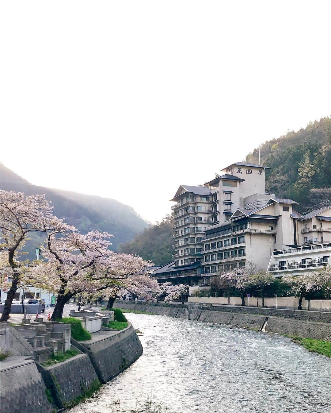 松浦彩さんのインスタグラム写真 - (松浦彩Instagram)「思い出の桜🌸 これは2018年、鶴岡市のあつみ温泉地内の桜♨️ お日さまの光を浴びた桜の、透き通るような繊細さが好きです。 ⠀ 日々いろんなことがありますが、こんな時こそ思いやりや優しさを忘れずにいたいなあと思います🌼 ⠀ そういえば本日4月25日20時から、友人のkiyoさんと人生初のインスタライブをすることになりました🥰 機械オンチなので無事にはじめられるかな…笑 ⠀ よろしければのぞいてみてください🌷 ⠀ #写真でやまがた旅気分 #yamagata #tsuruoka #山形 #鶴岡 #鶴岡市 #sakura #桜 #エアー花見 #過去写真 #わたしは今日もおうちで元気です」4月25日 12時48分 - ayamatsuura.s