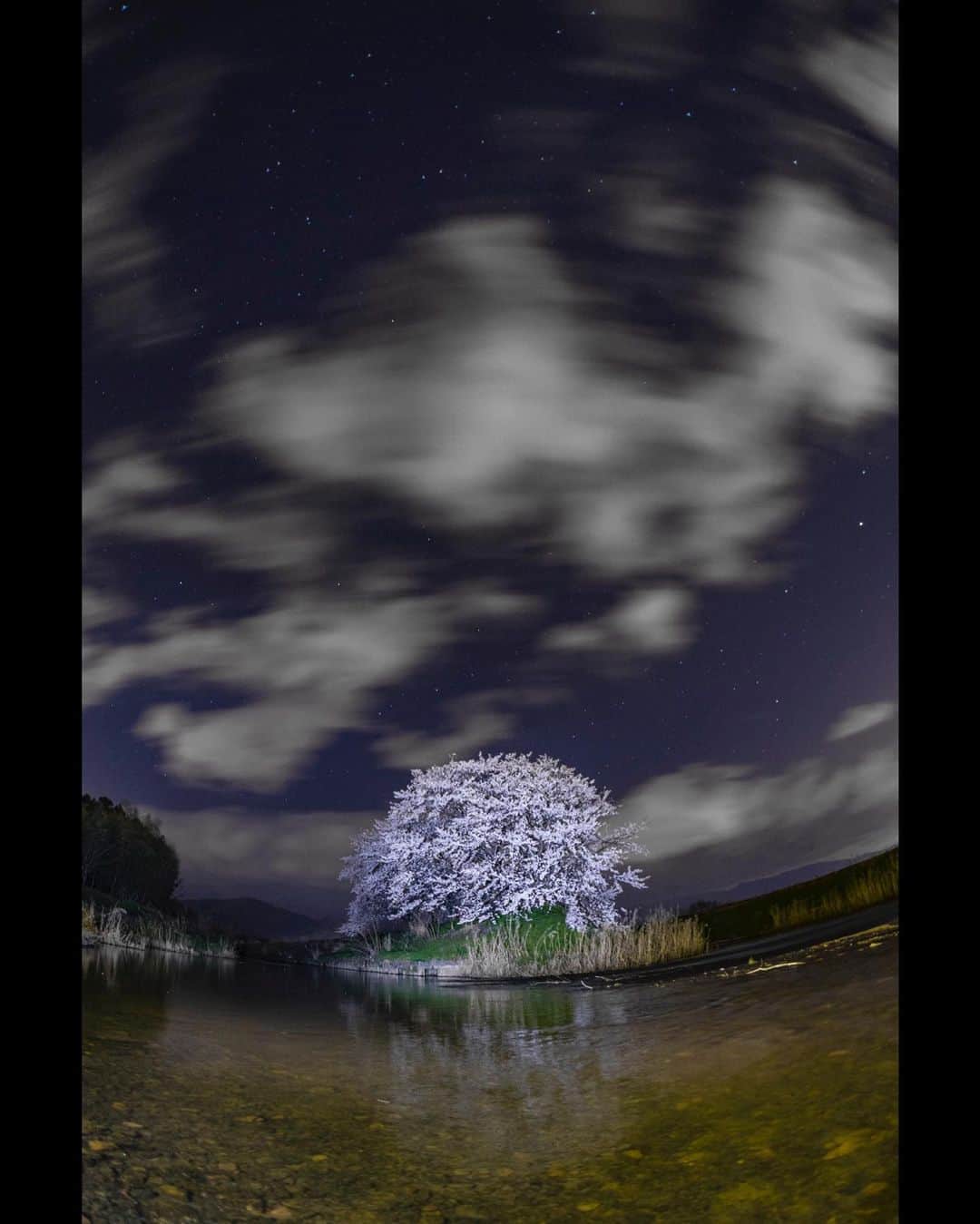 滋賀県長浜市さんのインスタグラム写真 - (滋賀県長浜市Instagram)「【シリーズ　長浜の景色】 前回のアップで田植えにも触れましたが、もう少し春の景色を😅笑  川が合流するこの場所。春になると洲の中に桜が咲き誇るので、何か面白い撮り方はないかなぁと、夜桜にしてみました☺️ 雲が多くてイメージ通りとはいきませんでしたが、かえって空に表情が出たかも？笑  思うように外出できない毎日ですが、少しでも長浜の景色を楽しんでいただけるよう、過去の写真を織り交ぜながら長浜の景色をお贈りしています☺️ location 長浜市大寺町 date 2019.4.8  #長浜ちょぴっく #みんなのちょぴっく #長浜市 #滋賀県 #広報ながはま #しがトコ #滋賀写真部 #桜 #春  #spring #japan #60sistercityaan #風景写真 #長浜の景色 #過去pic #がんばろう #コロナに負けるな #元気 #木 #花 #sakura #cherryblossom #夜桜 #雲 #星空 #sky #空 #スローシャッター」4月25日 12時58分 - nagahama_city